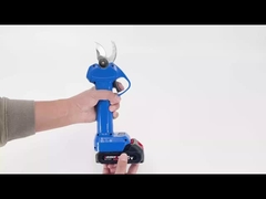 Auston AES20-3 kesicisi