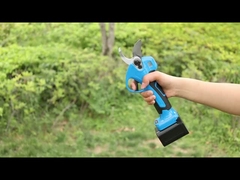 Auston AES30-3 kesicisi